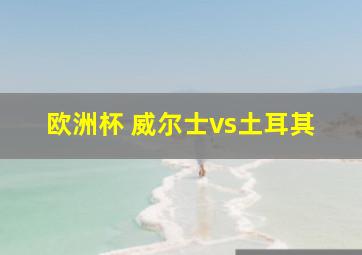 欧洲杯 威尔士vs土耳其